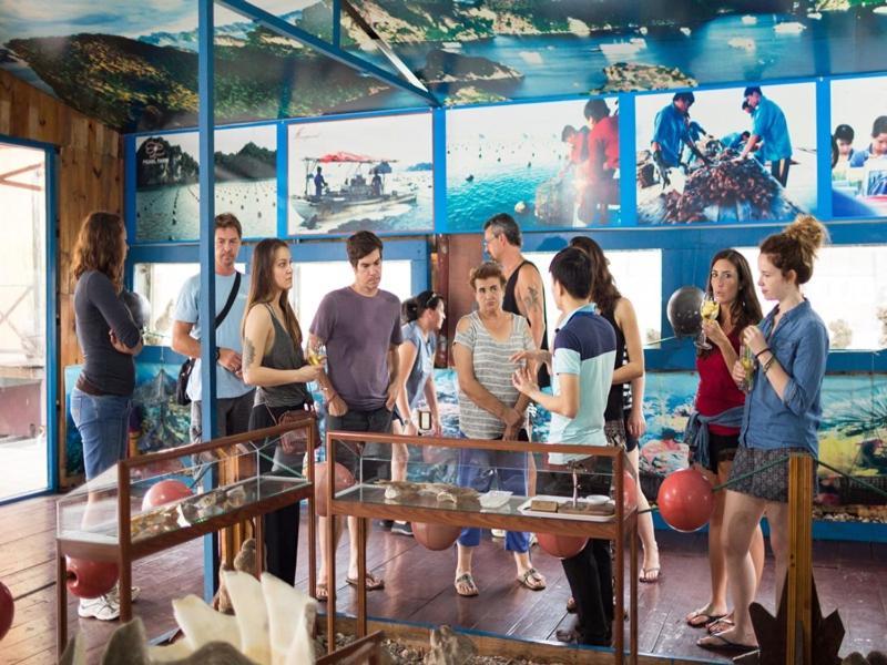 Hotel Charm Boutique Cruise Ha Long Esterno foto